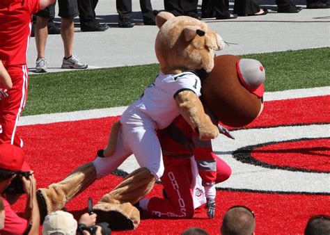 Mascot is assaulted